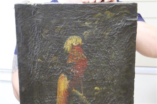 19th century English School, oil on canvas, Golden pheasant perched on a branch, 60 x 40cm, unframed